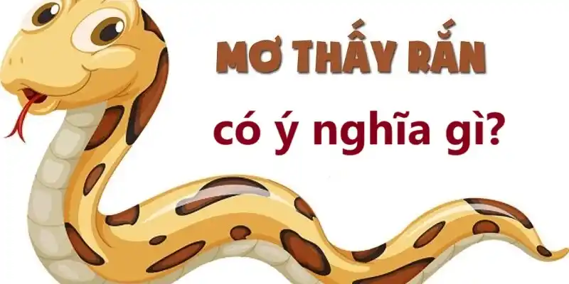 Mơ thấy rắn có ý nghĩa gì?